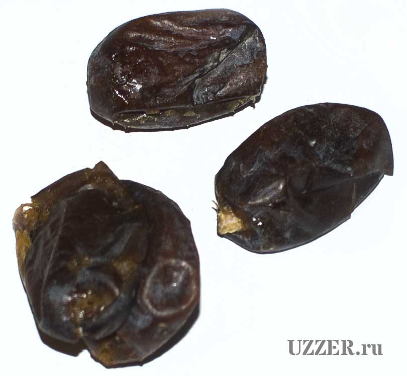 Отзыв на сушеные финики из Ирана Nab Dates дешевые и плохие