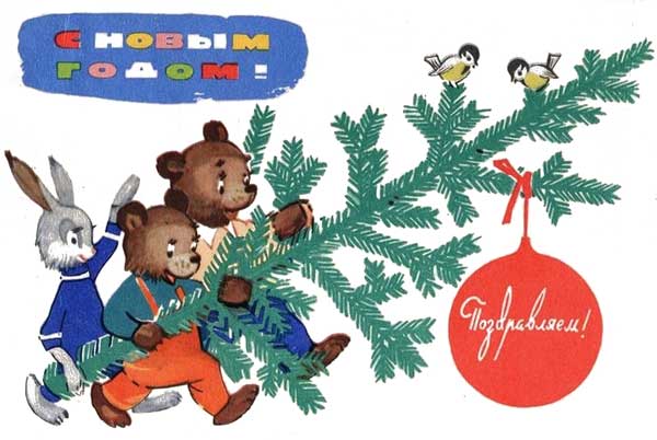 Как выбрать елку на новый год, а может сосну или пихту?