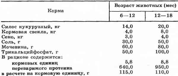 Рацион для откорма молодого бычка на мясо